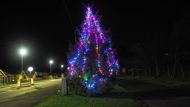 Christmas Tree Belgrano