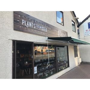 The Plantation Coffee